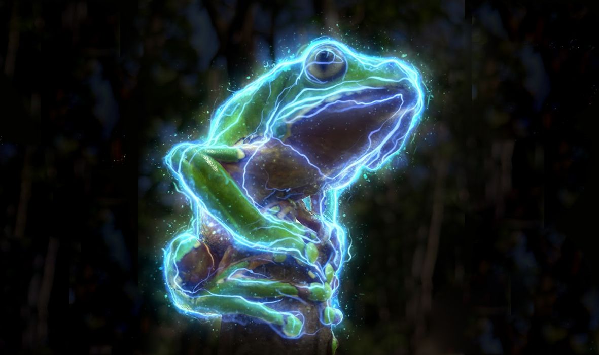 UNLOCKING HEALING BEYOND THE PEPTIDES