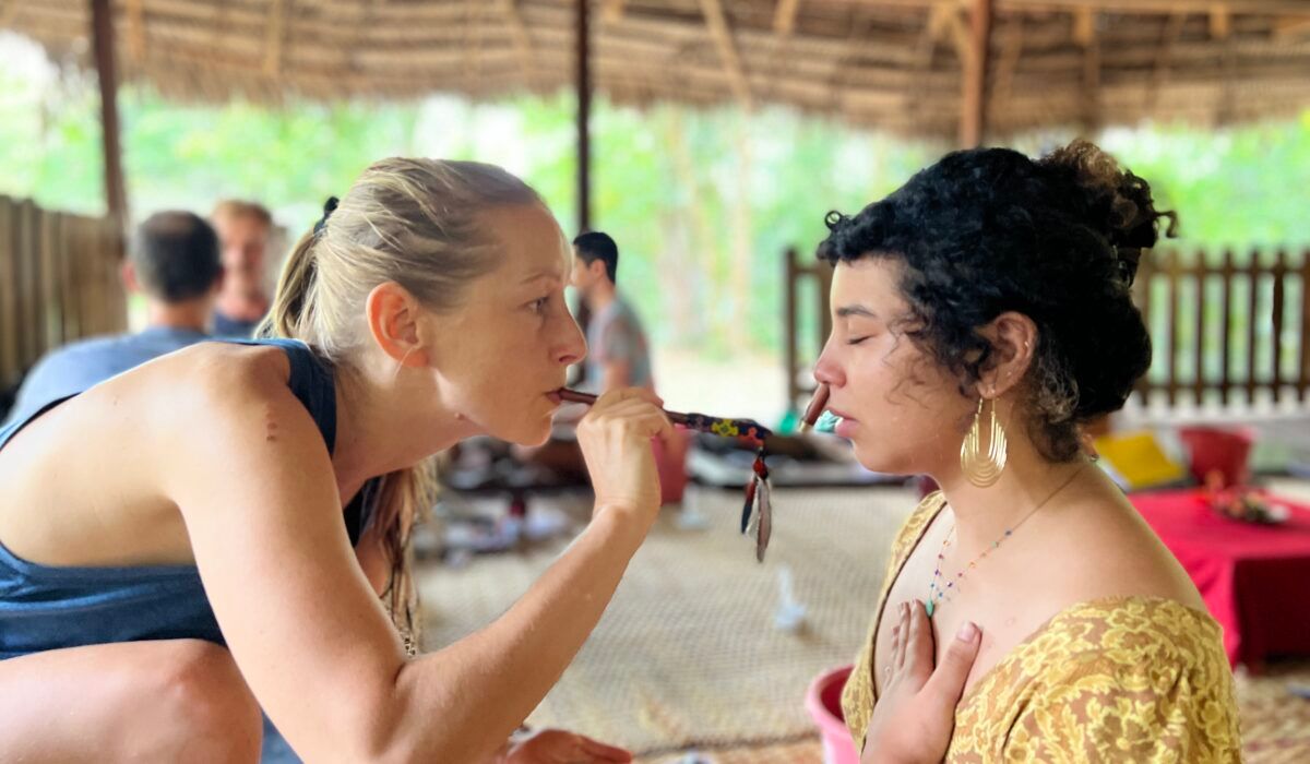 BEST KAMBO TRAINING: WHAT YOU REALLY NEED TO KNOW